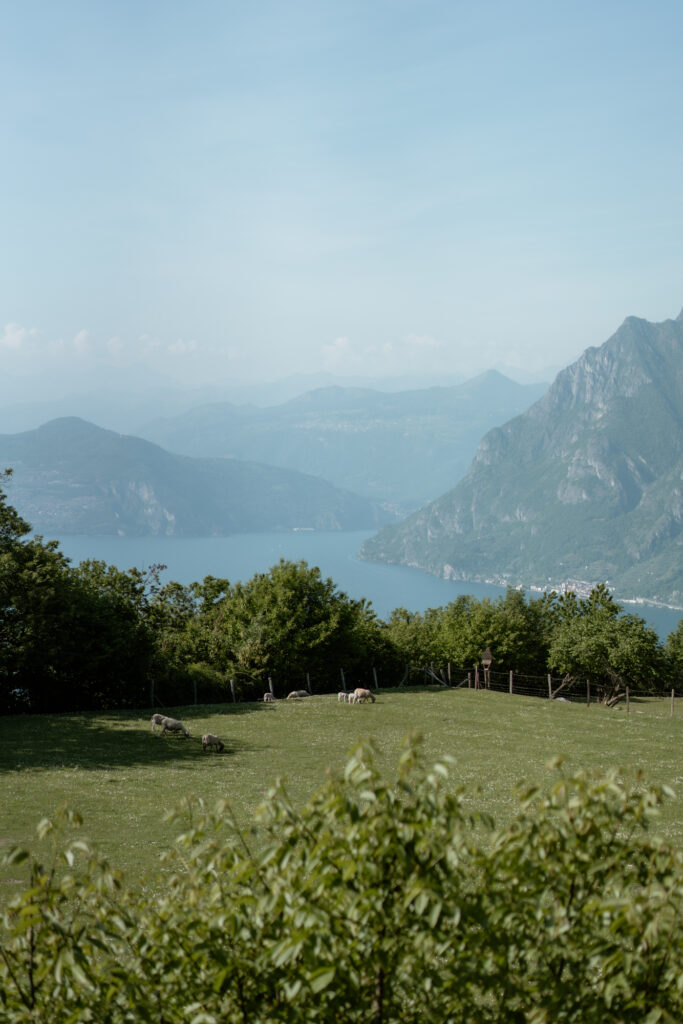 Sheep field overlooking Lake Iseo during a Monte Isola elopement day in Italy